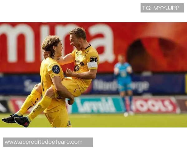 挪甲汉坎与格鲁德激战正酣比赛结果揭晓引发热议