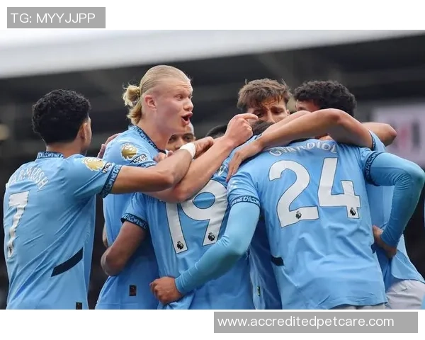 曼城迎战富勒姆争夺联赛杯四强席位精彩对决一触即发