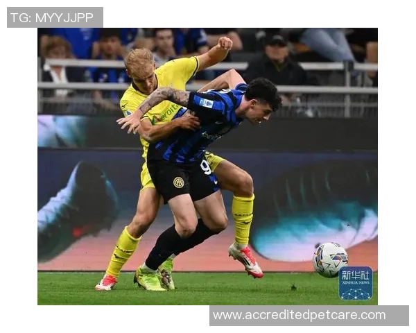 拉齐奥主帅：咱们与国米还有很大距离，球队建造还需很长时刻