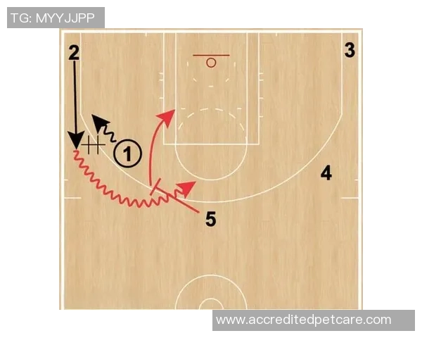 第3阵型变天？火箭队2候补暂时归队！乌度卡还有委任，归队期不远